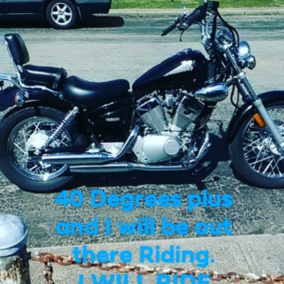 Meet your Posher, Steve - Picture 2 of 5